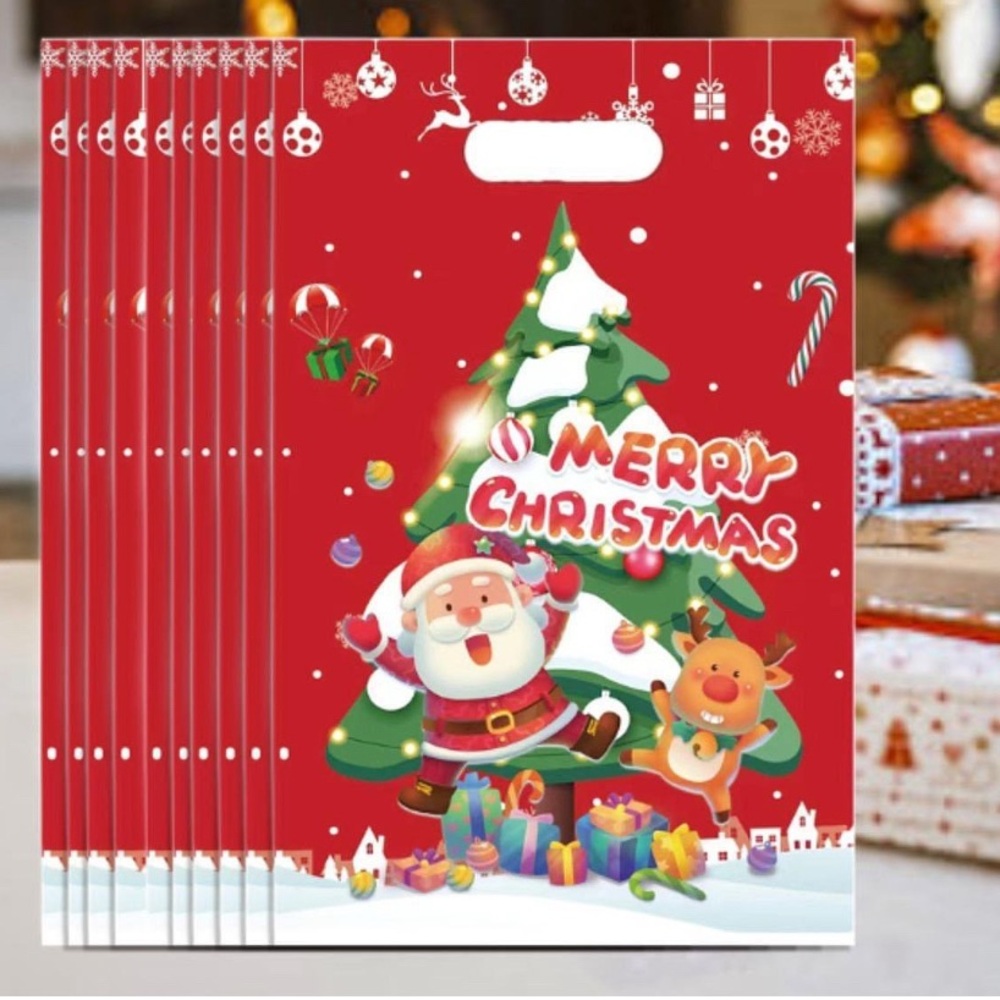 10 pcs Christmas Party Favor Bags - Red and Green